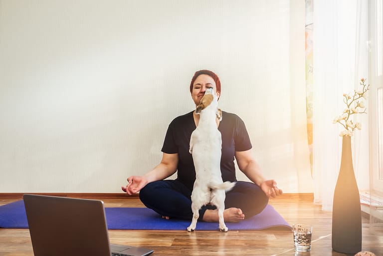 Adult girl with a dog Jack Russell practice online yoga lesson at home during a 30 day yoga challenge. Dog licks the girl face, flirts. yoga dog names